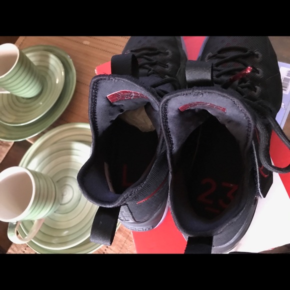 Lebron 14’s Bred - Picture 4 of 4